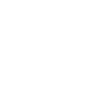 INSEININ 