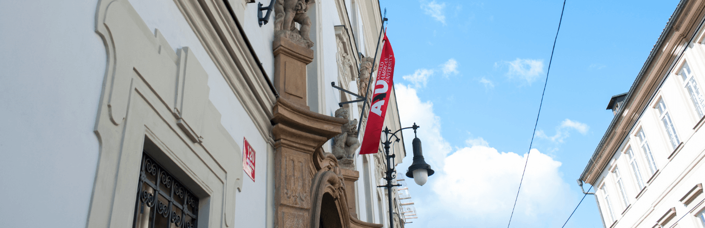 В этой статье мы расскажем о главных частных ВУЗах Чехии, где Вы сможете получить лучшее экономическое образование