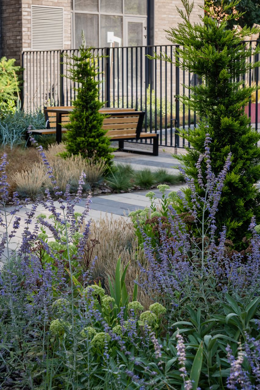 Пространство на 9-й Б. Фонтана — фото комплекса 10