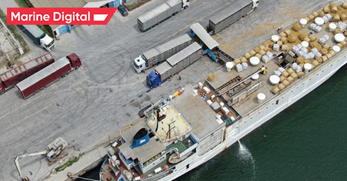 6. Failure in the filing schedule