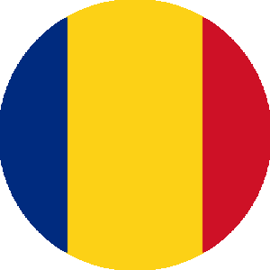 website icon