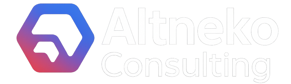  ALTNEKO CONSULTING 