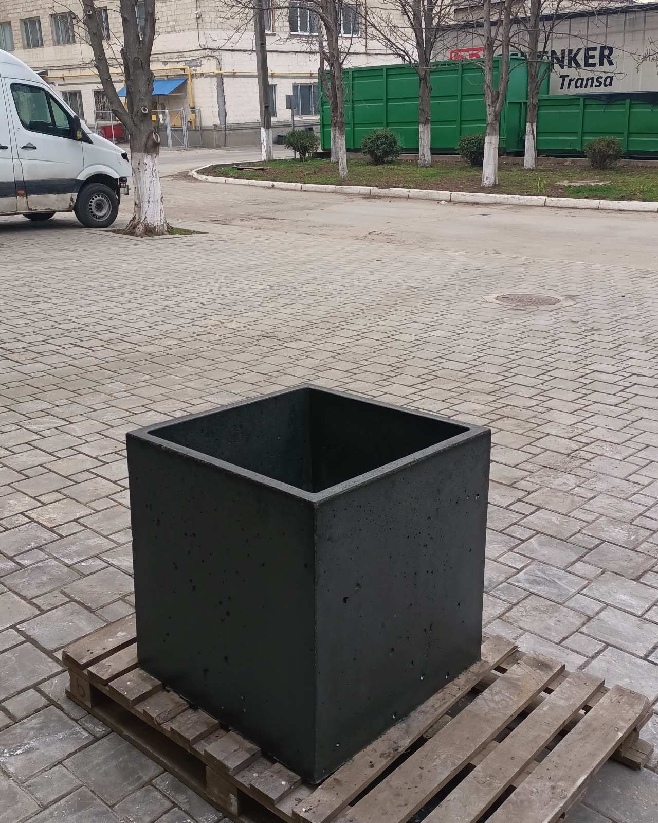 vazon pentru tui