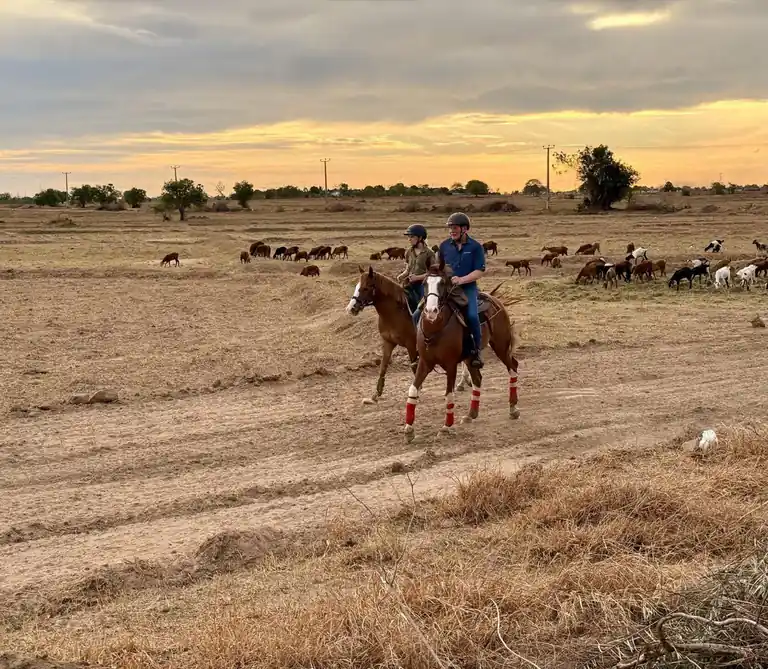 Riders on horseback at sunset.