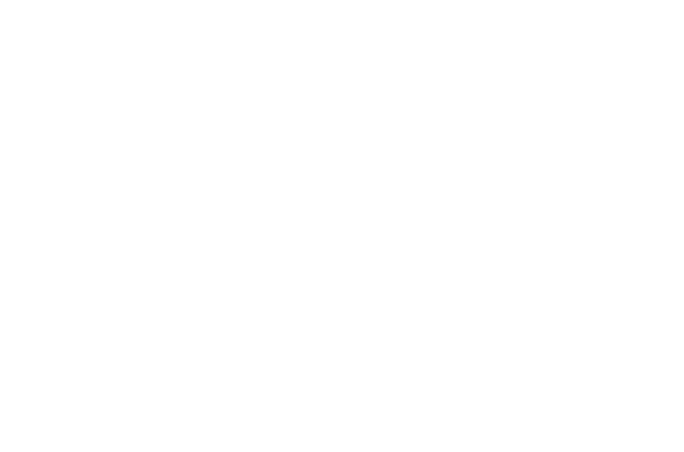 АПЛ — Академия Потенциала Личности