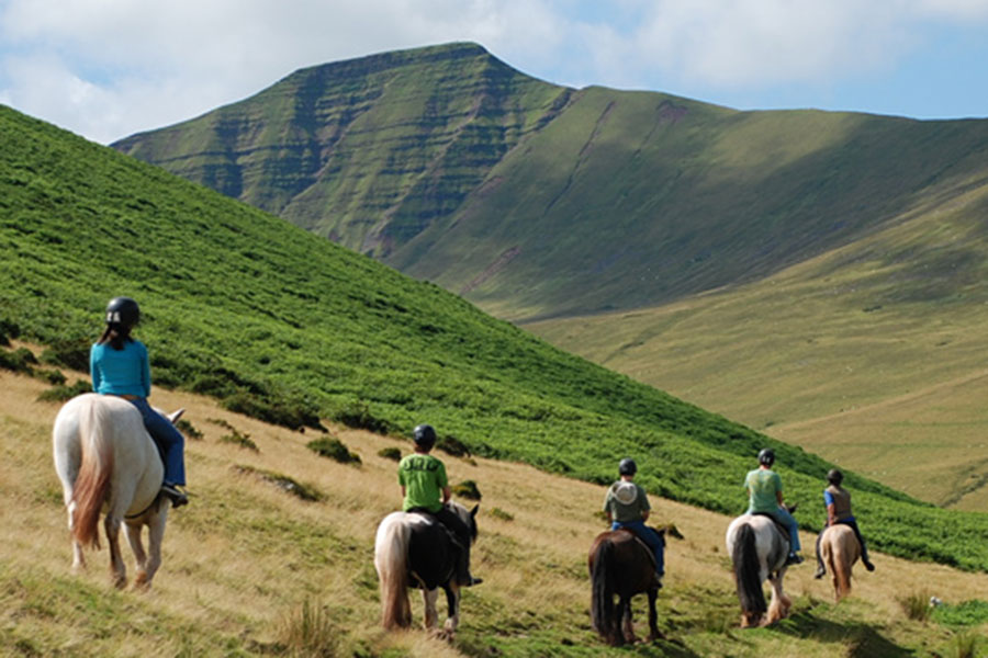 Ponies trekking in the Brecon Beacons