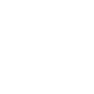 website icon