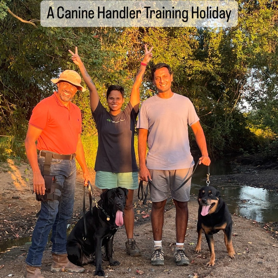 Canine consultancy and temperament assessment at VONFIDEL K9