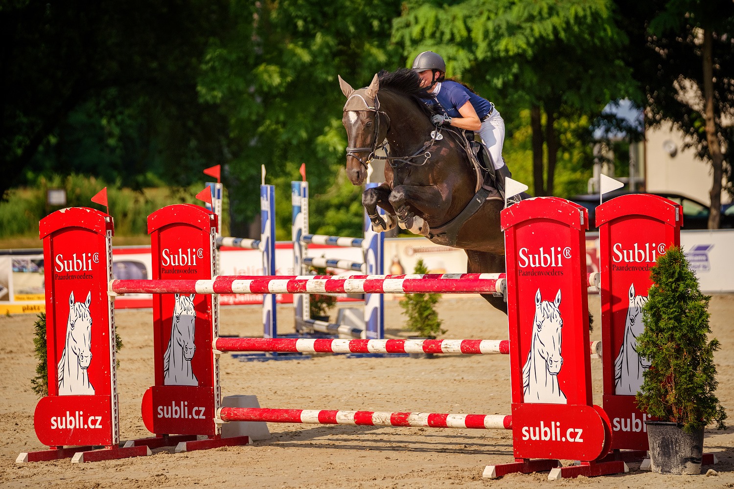 Dominika Hrubešová