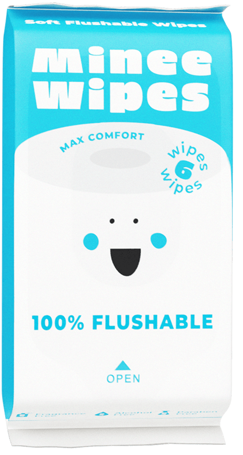 Blue flushable Minee Wipes mini pack – labeled 100% flushable, travel-size wipes.
