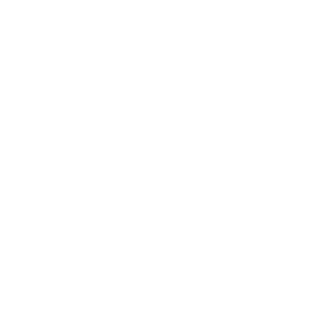 website icon