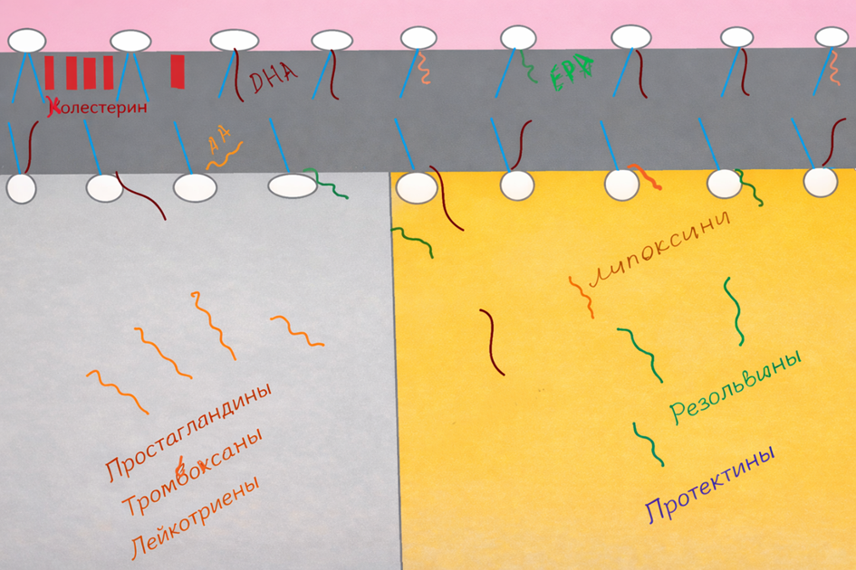 Ein Bild, das Text, Handschrift, Papierprodukt, Papier enthält.
KI-generierte Inhalte können fehlerhaft sein.