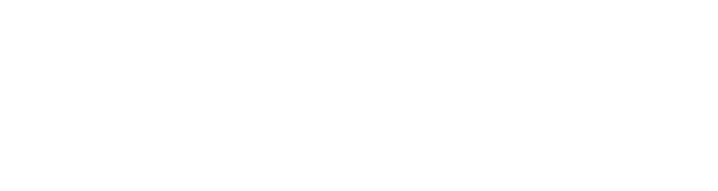 Technology partner