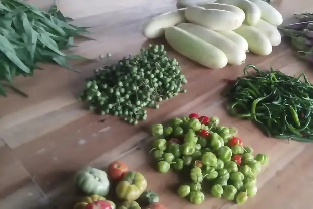 Harvested vegetables sorted into lots on a table.