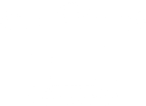White Umbrella