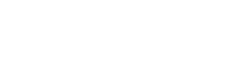 Savant logo