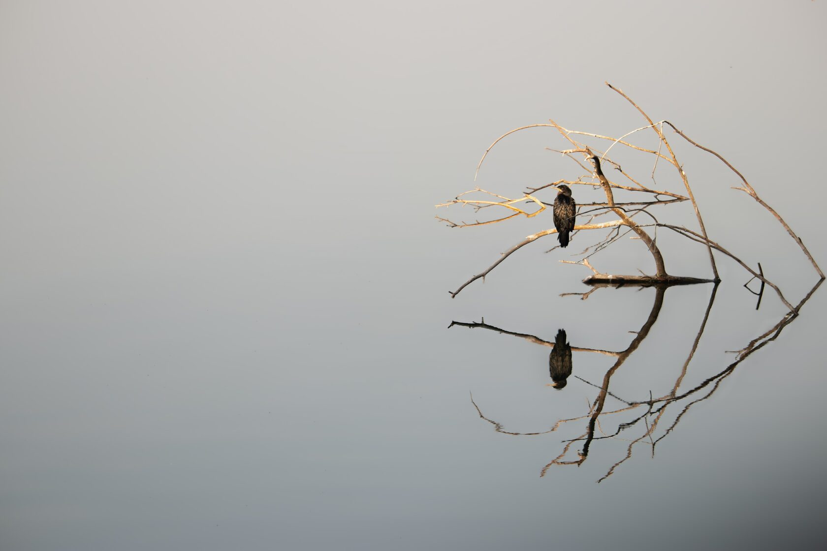 Photo by Mohd
