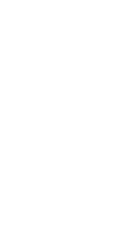 Визовые услуги