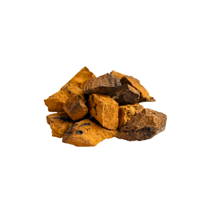 Inonotus obliquus — ჩაგა