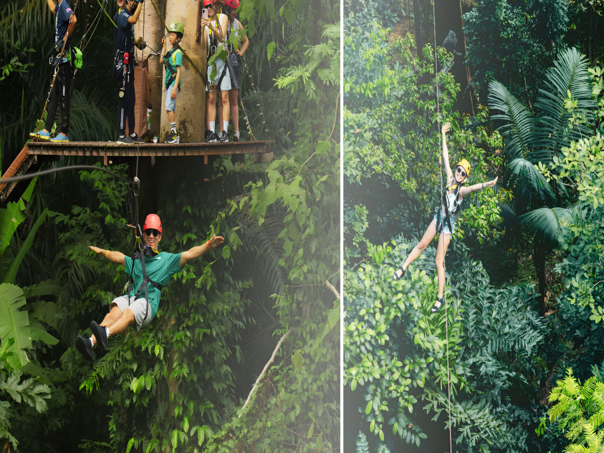 Zipline through tropical canopy, Phuket