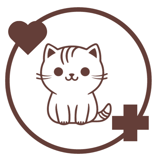 Adopt kittens. Kittens for sale