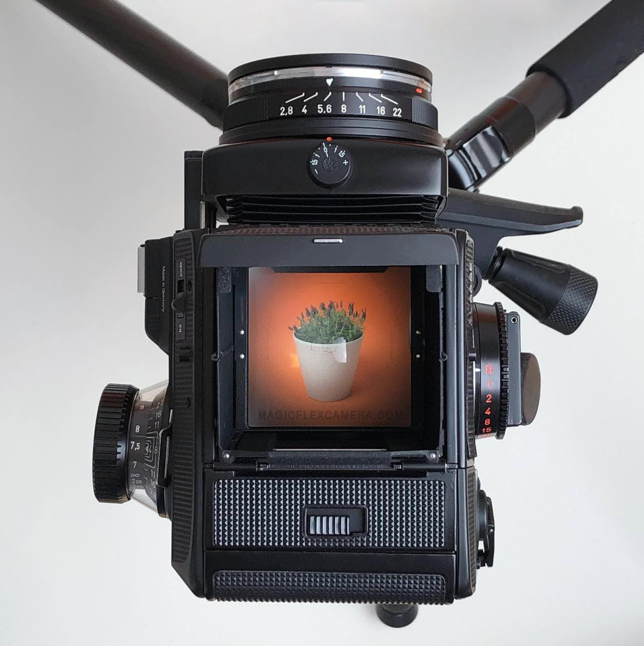 Rolleiflex SL66 focusing screens