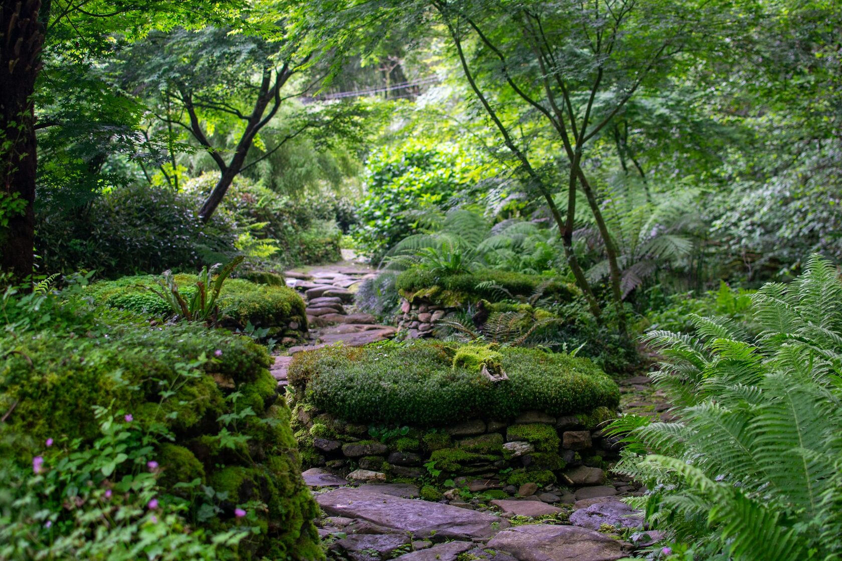 Sendero de piedra en jardín paisajístico