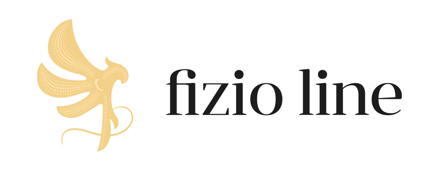 Fizi line - физиотерапия в Риге