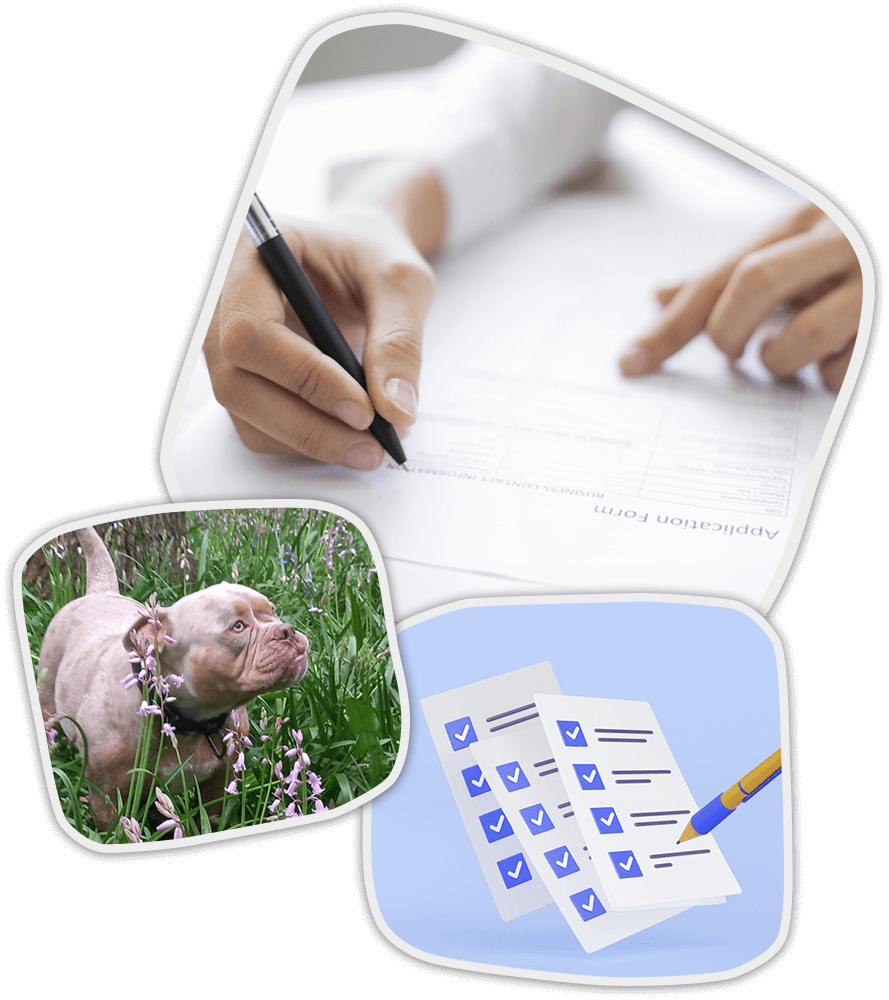 Registra tus datos para adoptar