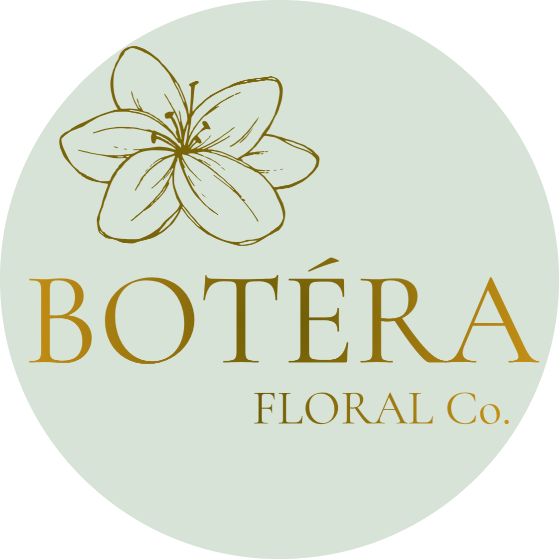  BOTÉRA 