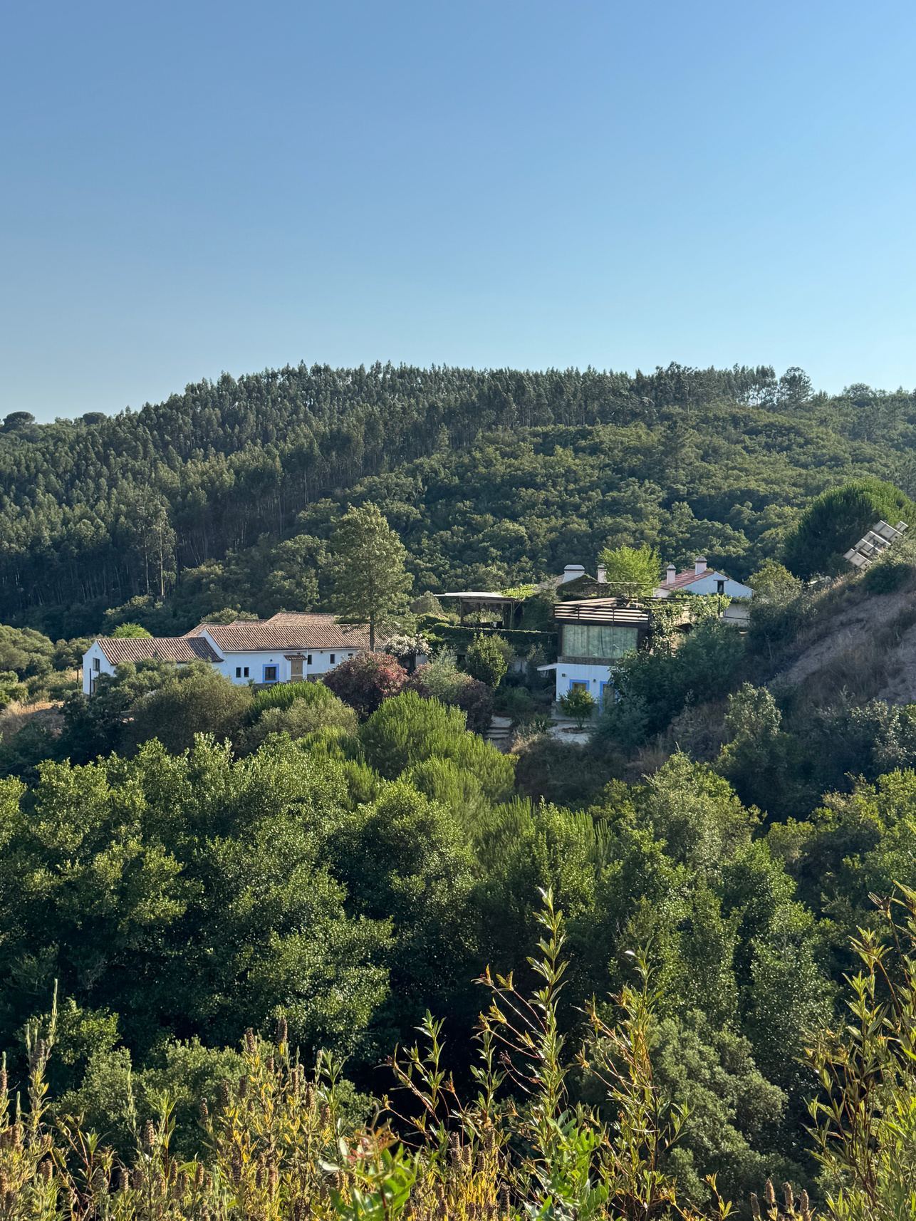Monte da Orada, seen from the hillside above