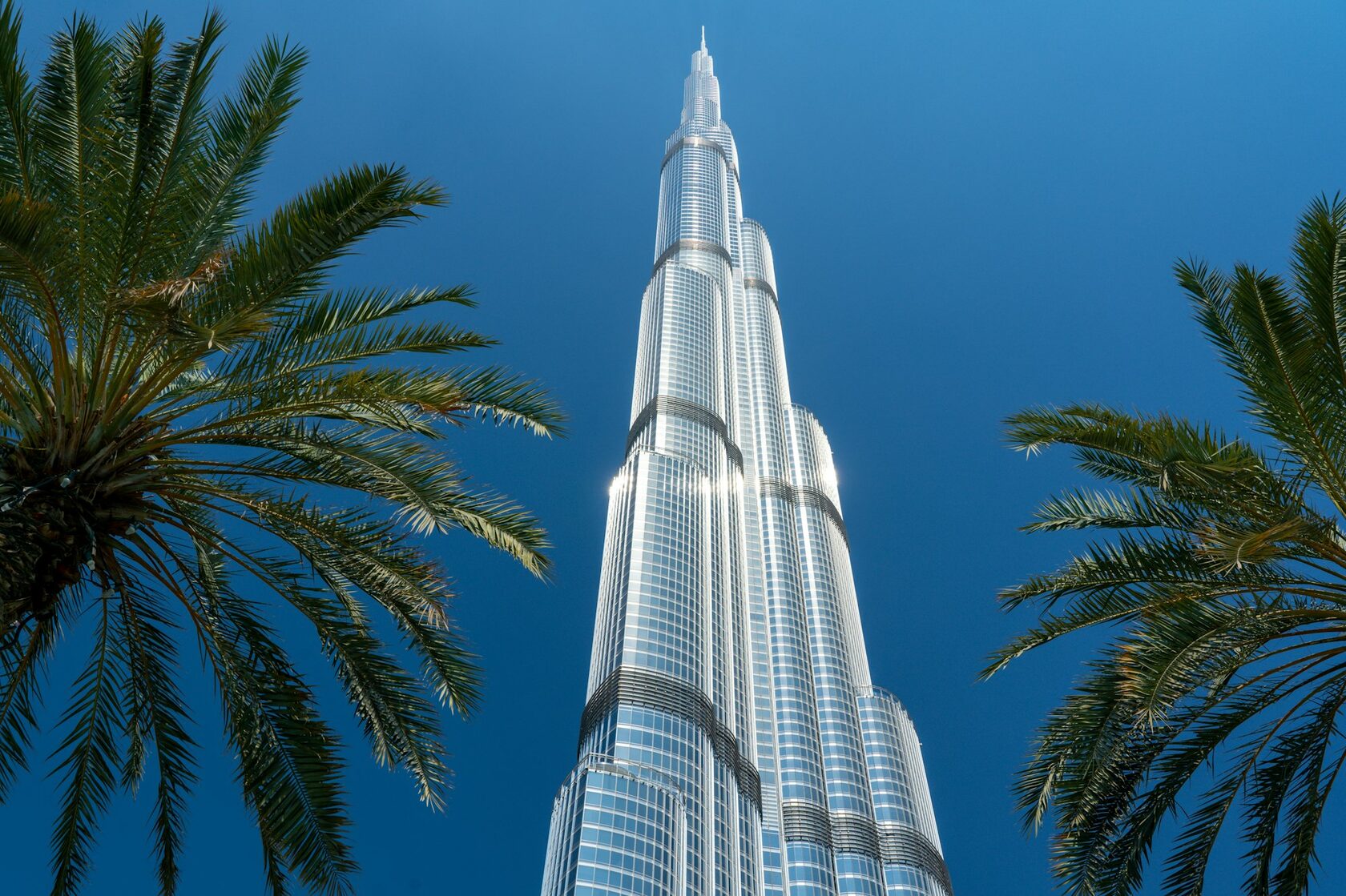 Burj Khalifa in daylight, framed by palm trees