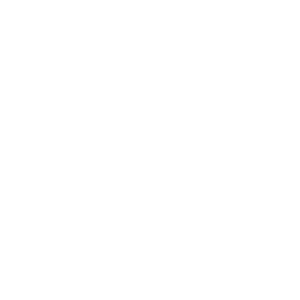 website icon