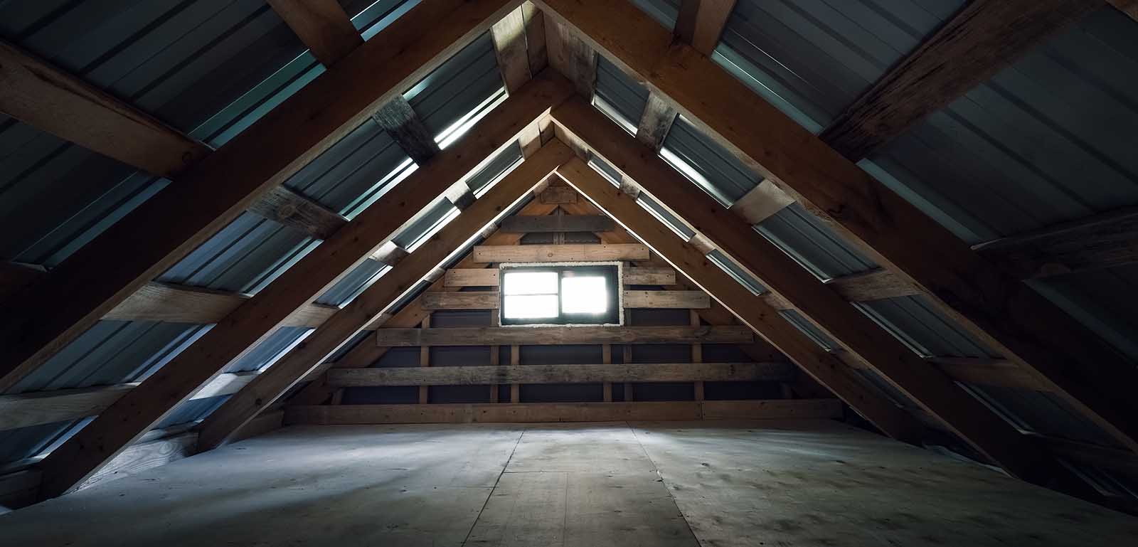Do More With Your Roof: Expert Attic Conversion Advice for Dublin Homes