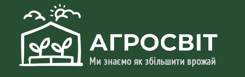 лрилрилишрии