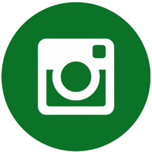 website icon