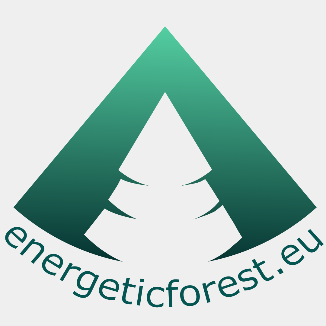 energeticforest – składniki do kosmetyków, maści z dziegciem i szamponów na łuszczycę