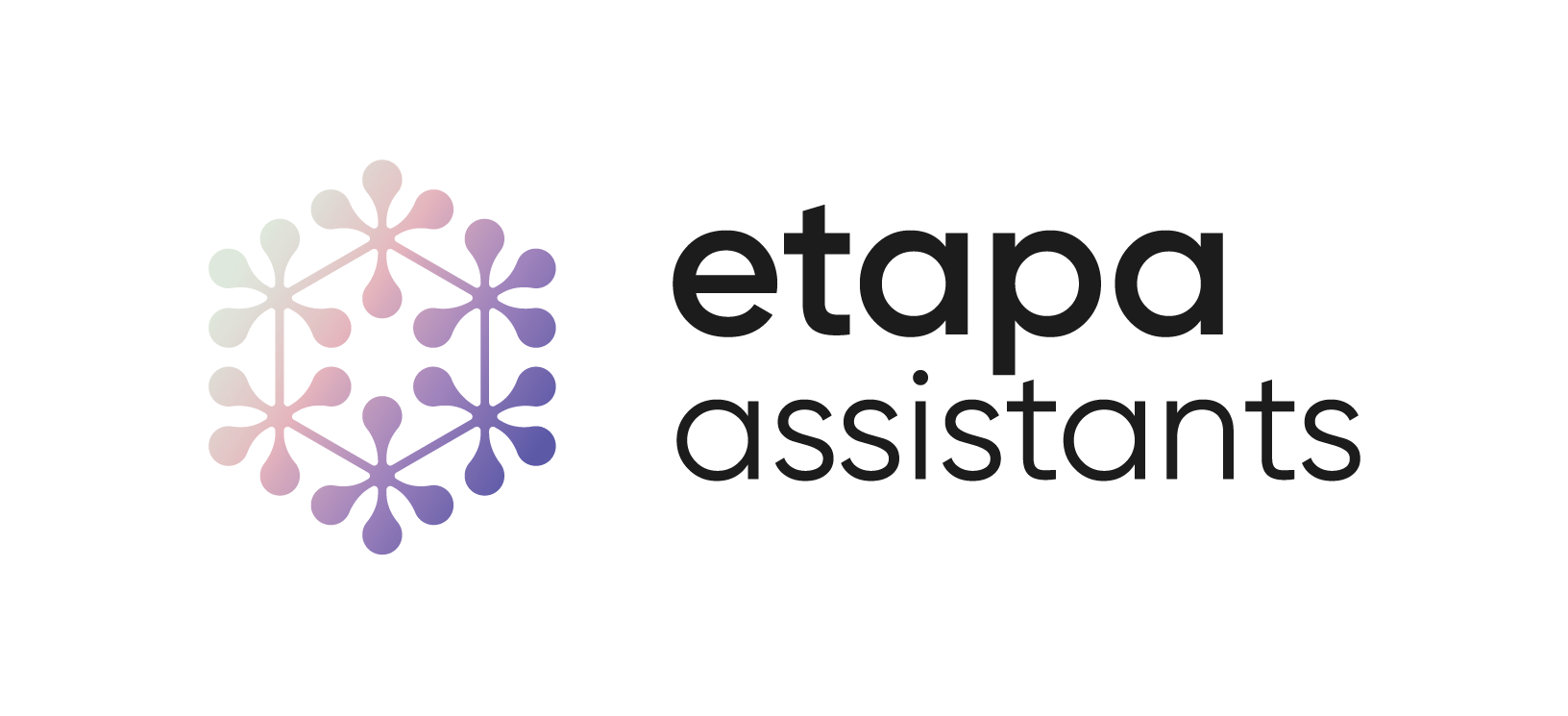 Etapa Assistants