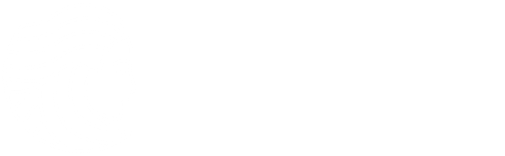 Blossom House - hair and beauty