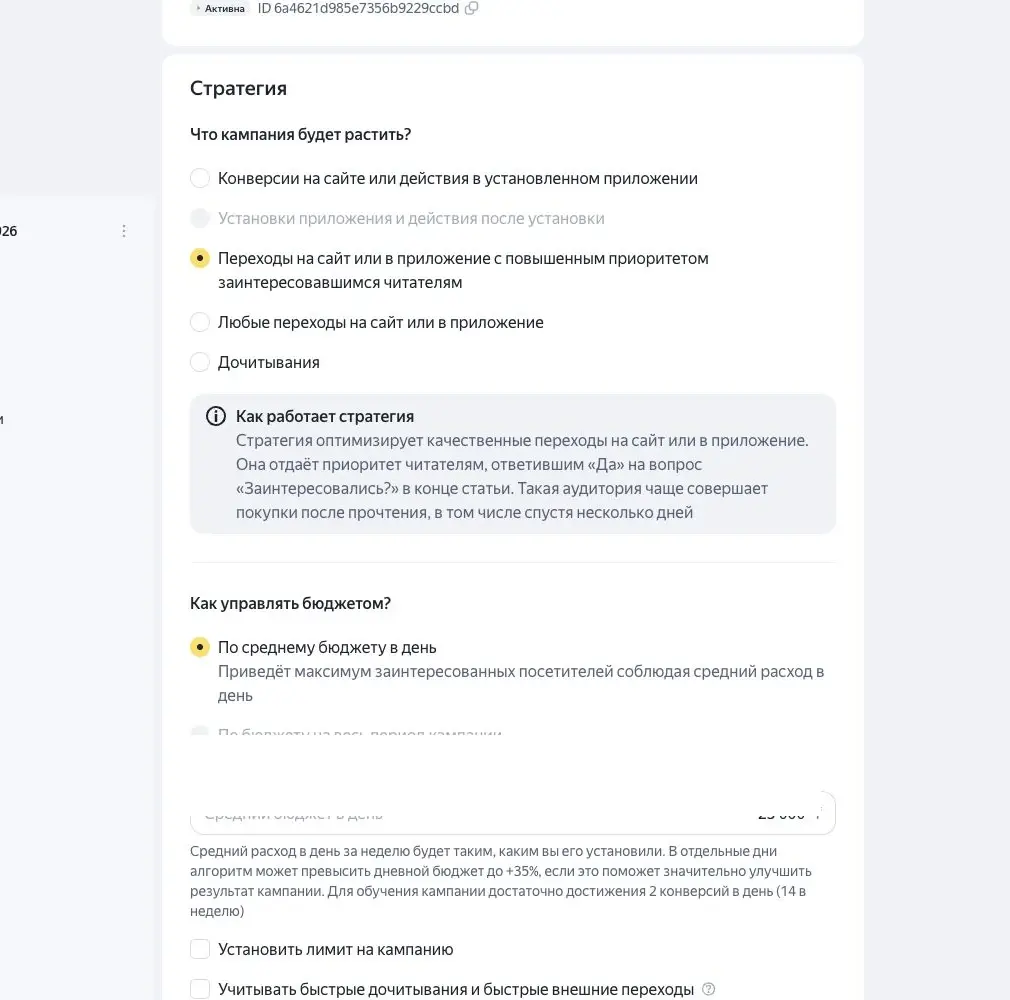 Настройки стратегии, бюджета и аудитории в Яндекс ПромоСтраницах