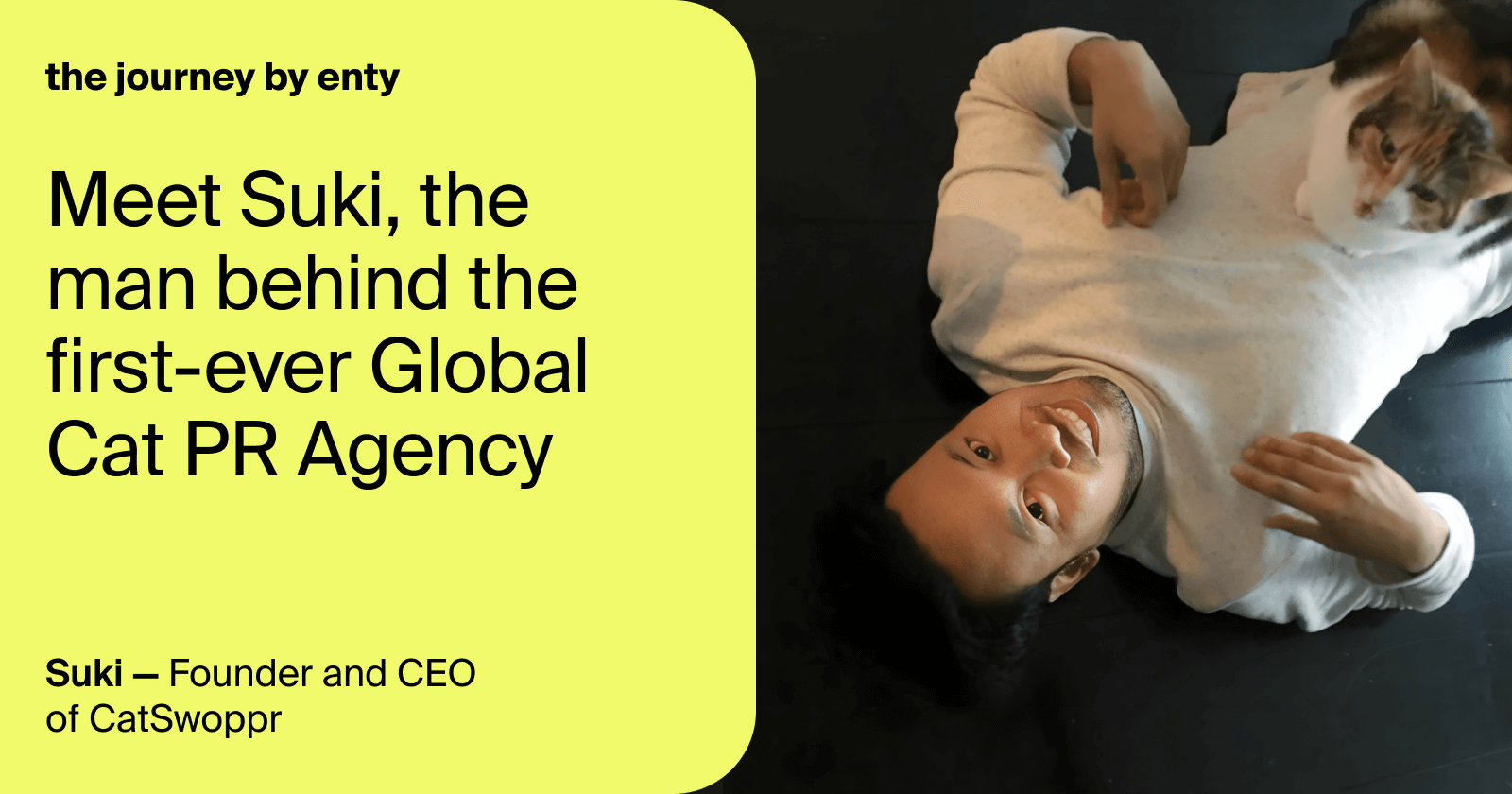 Cat executive officer: meet Suki, the man behind the first-ever Global Cat  PR Agency