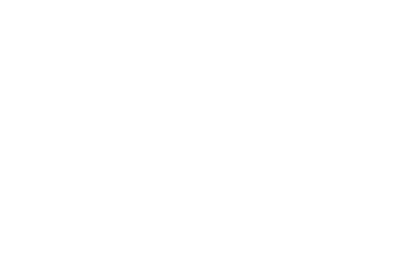Play — logo partnera