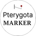 Pterygota Marker Computer vision technology