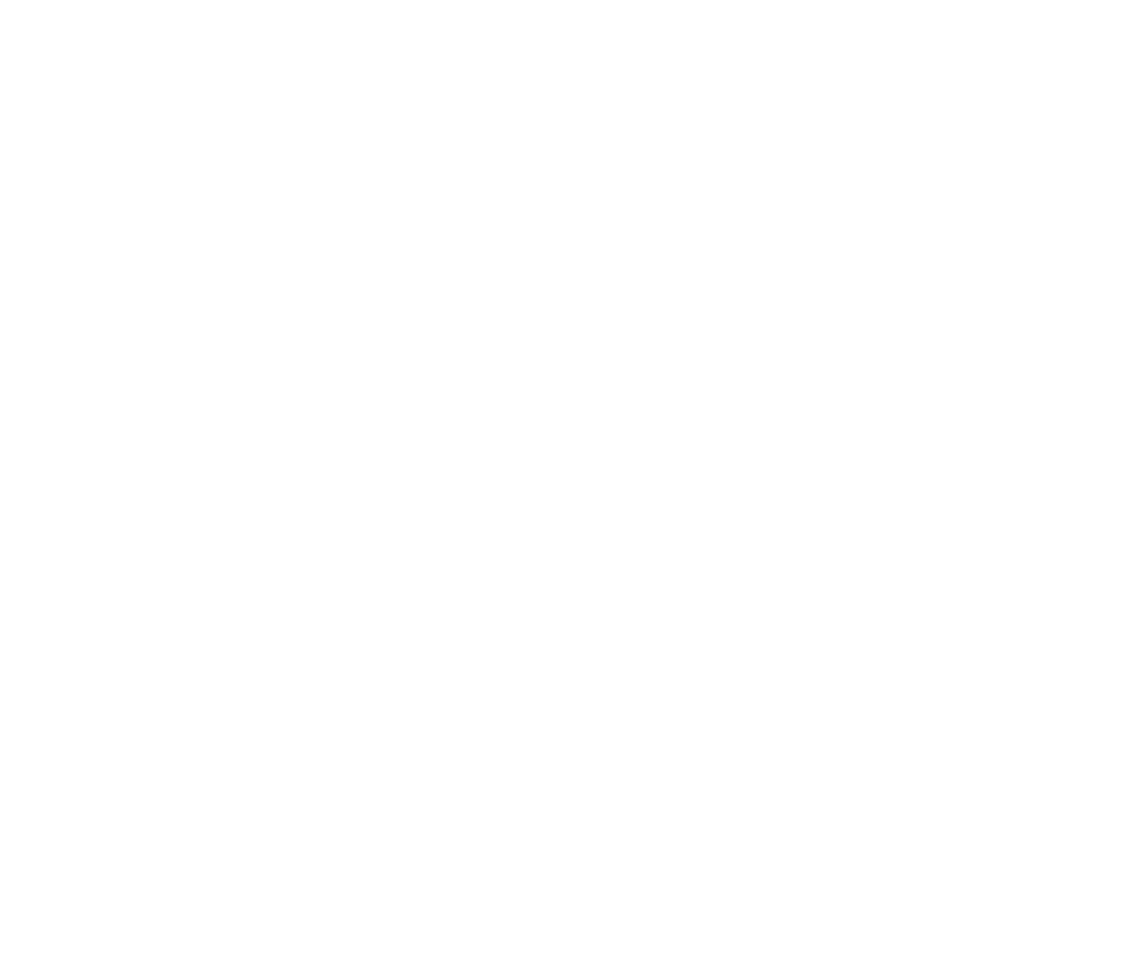 Institut ramon llull