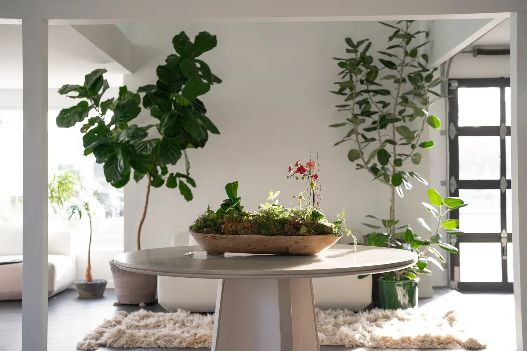Fiddle-leaf fig and olive trees around a round table with a low floral centerpiece