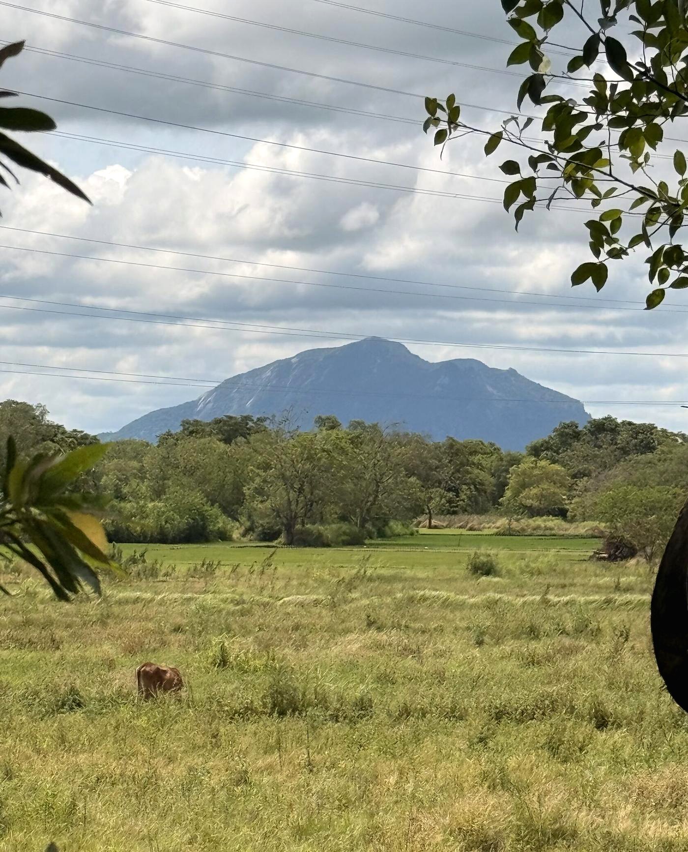 Countryside landscape near Lakewood Mounted Estate in Habarana, Sri Lanka, with distant hills and open green land.
