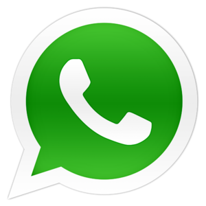 website icon