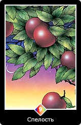 Таро Ошо Дзен 9 Спелость 