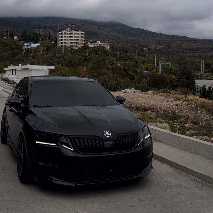 Выхлопная система skoda