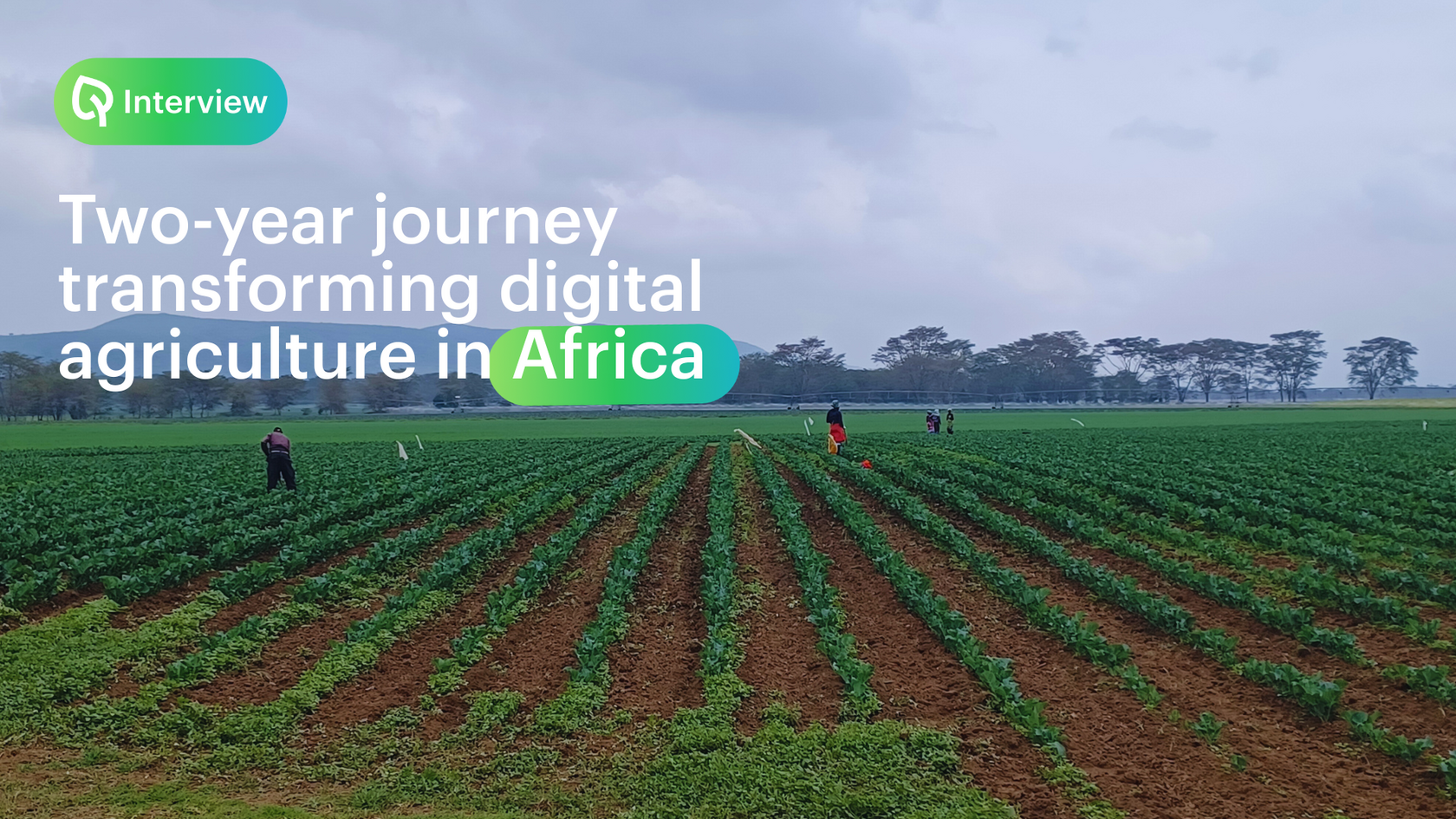 Two-year journey transforming digital agriculture in Africa